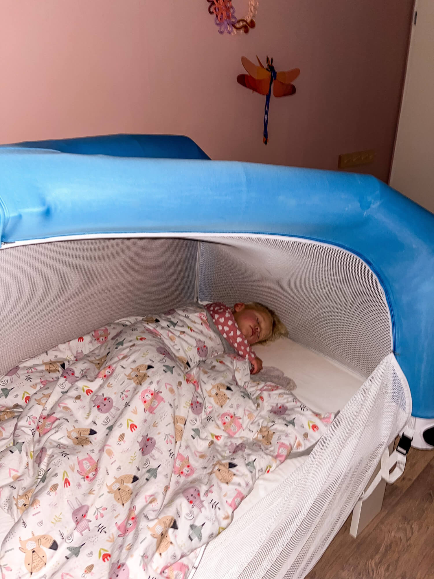evelien-bedtent-cloudcuddle-dag-en-nachtritme-verstoord-hersteld-scaled.jpg evelien-bedtent-cloudcuddle-dag-en-nachtritme-verstoord-hersteld-scaled.jpg